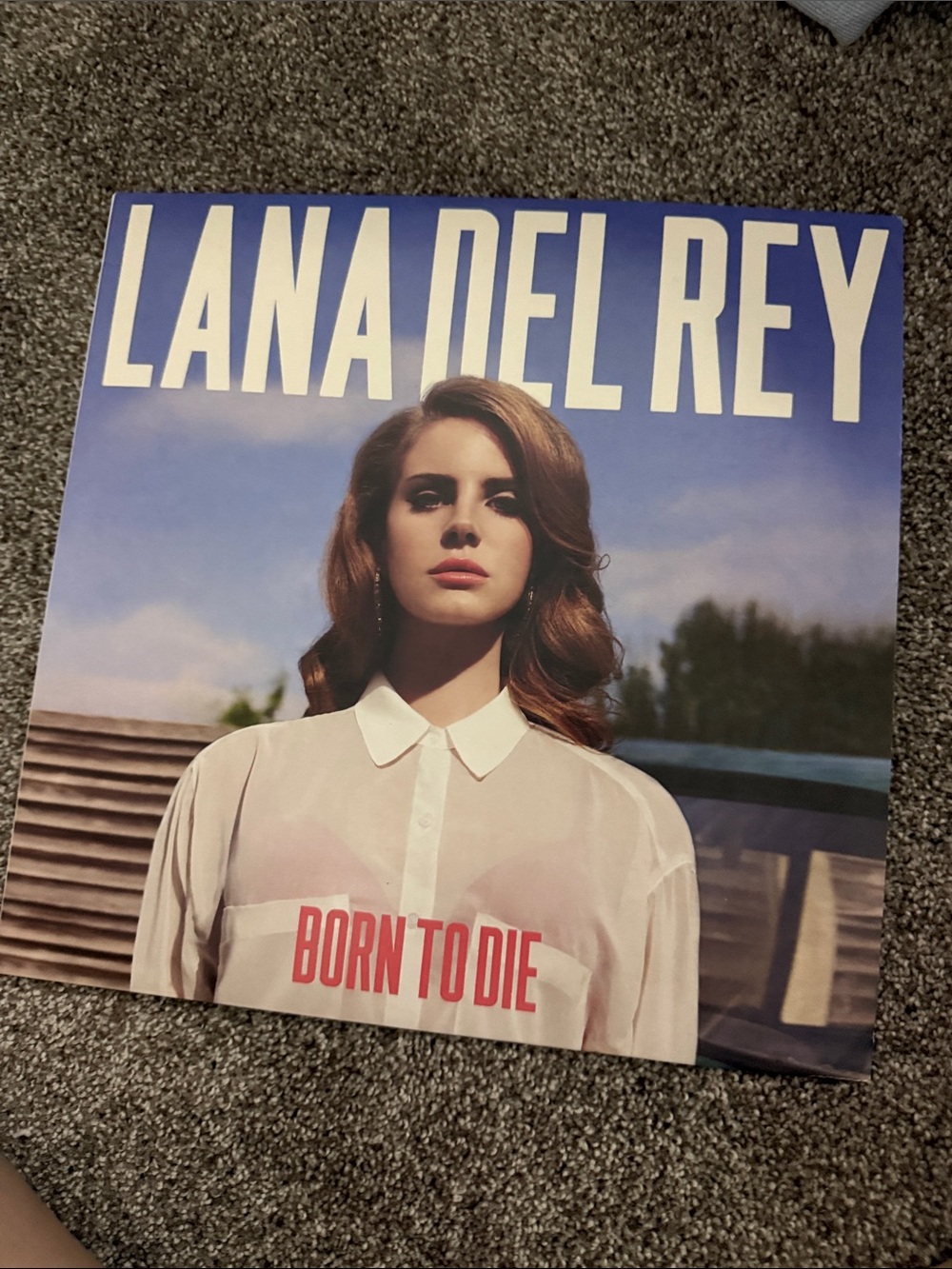 Lana del Rey vinyl